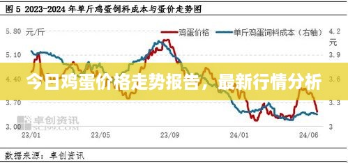 今日雞蛋價格走勢報告，最新行情分析