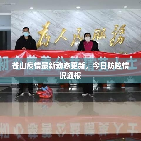 蒼山疫情最新動態(tài)更新，今日防控情況通報