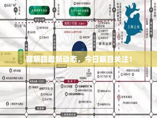 朝明路最新動(dòng)態(tài)，今日矚目關(guān)注！
