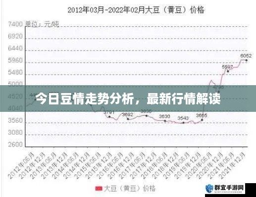今日豆情走勢分析，最新行情解讀