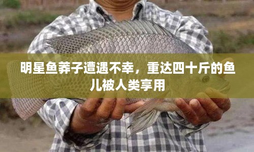 明星魚莽子遭遇不幸，重達(dá)四十斤的魚兒被人類享用