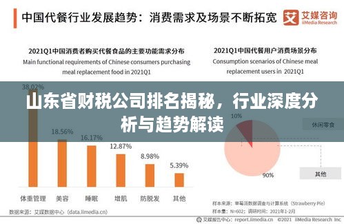 山東省財稅公司排名揭秘，行業(yè)深度分析與趨勢解讀