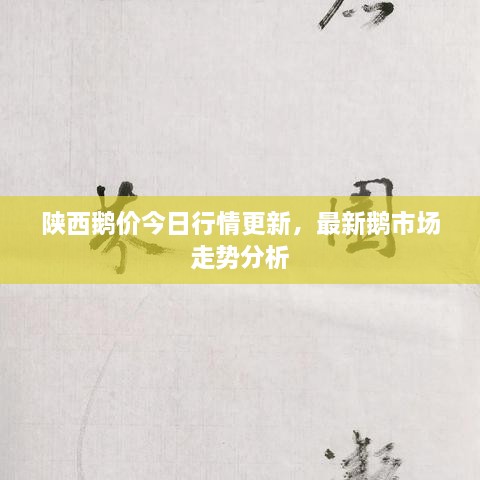 陜西鵝價今日行情更新，最新鵝市場走勢分析