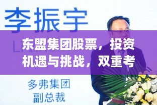 東盟集團(tuán)股票，投資機(jī)遇與挑戰(zhàn)，雙重考量不容錯過