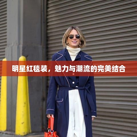 明星紅毯裝，魅力與潮流的完美結(jié)合