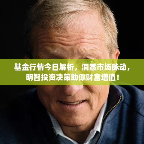 基金行情今日解析，洞悉市場脈動，明智投資決策助你財富增值！