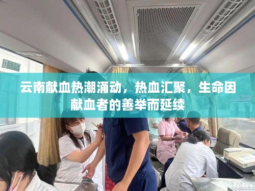 云南獻血熱潮涌動，熱血匯聚，生命因獻血者的善舉而延續(xù)