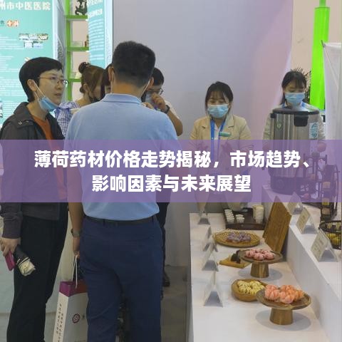 薄荷藥材價格走勢揭秘，市場趨勢、影響因素與未來展望