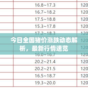 今日全國(guó)豬價(jià)漲跌動(dòng)態(tài)解析，最新行情速覽