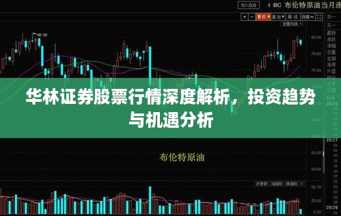 華林證券股票行情深度解析，投資趨勢(shì)與機(jī)遇分析