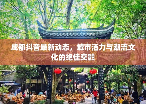 成都抖音最新動態(tài)，城市活力與潮流文化的絕佳交融