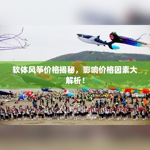 軟體風(fēng)箏價(jià)格揭秘，影響價(jià)格因素大解析！