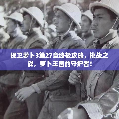 保衛(wèi)蘿卜3第27章終極攻略，挑戰(zhàn)之戰(zhàn)，蘿卜王國的守護者！