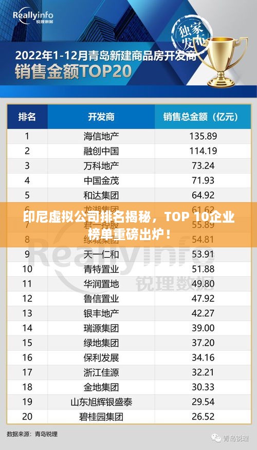 印尼虛擬公司排名揭秘，TOP 10企業(yè)榜單重磅出爐！