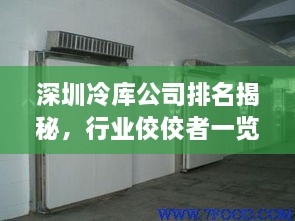 深圳冷庫公司排名揭秘，行業(yè)佼佼者一覽無余