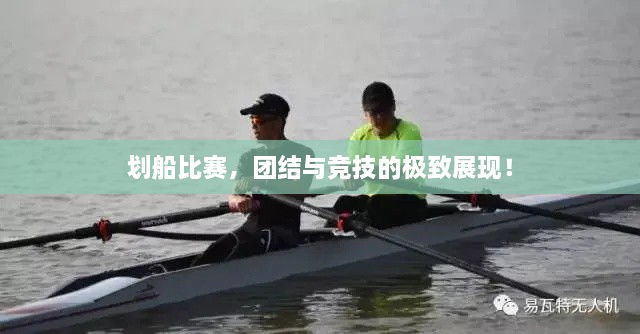 劃船比賽，團(tuán)結(jié)與競技的極致展現(xiàn)！
