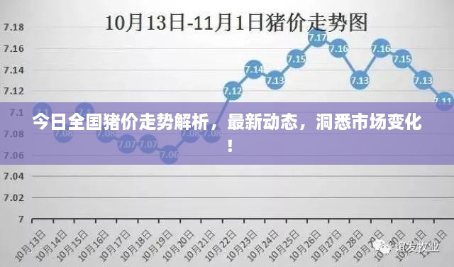 今日全國豬價走勢解析，最新動態(tài)，洞悉市場變化！