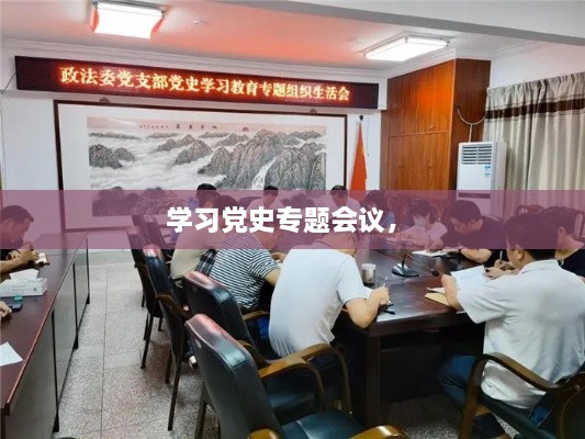 學(xué)習(xí)黨史專題會議， 