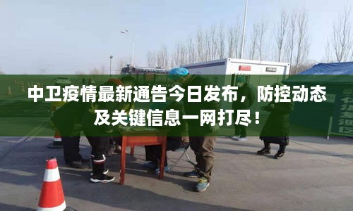 中衛(wèi)疫情最新通告今日發(fā)布，防控動態(tài)及關(guān)鍵信息一網(wǎng)打盡！