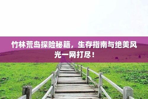 竹林荒島探險秘籍，生存指南與絕美風光一網(wǎng)打盡！