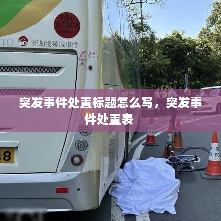 突發(fā)事件處置標(biāo)題怎么寫，突發(fā)事件處置表 