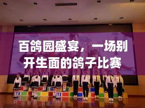 百鴿園盛宴，一場(chǎng)別開生面的鴿子比賽盛宴！