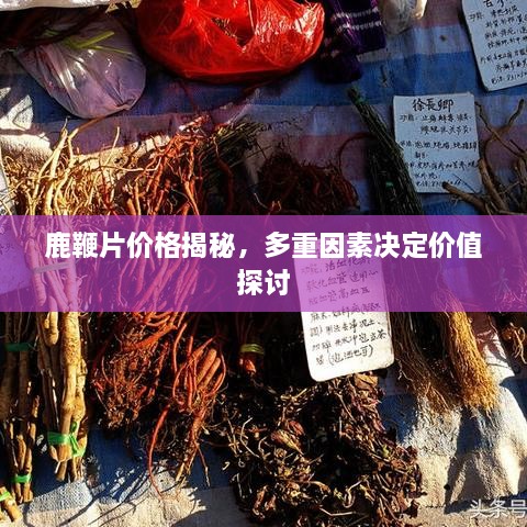 鹿鞭片價(jià)格揭秘，多重因素決定價(jià)值探討