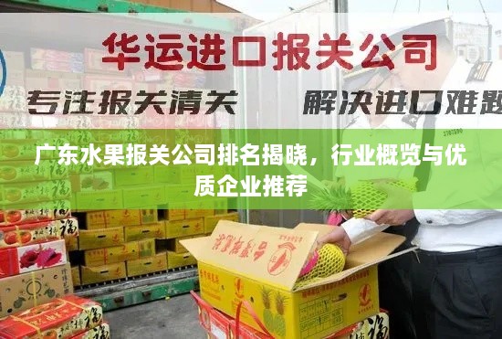 廣東水果報關公司排名揭曉，行業(yè)概覽與優(yōu)質企業(yè)推薦