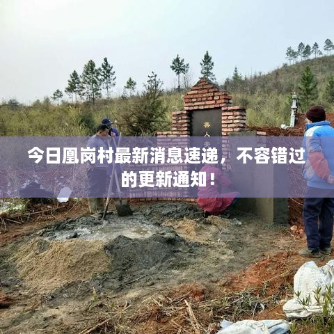 今日凰崗村最新消息速遞，不容錯(cuò)過的更新通知！