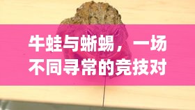 牛蛙與蜥蜴，一場(chǎng)不同尋常的競(jìng)技對(duì)決