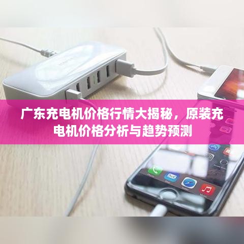 廣東充電機(jī)價格行情大揭秘，原裝充電機(jī)價格分析與趨勢預(yù)測