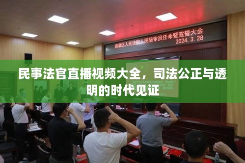 民事法官直播視頻大全，司法公正與透明的時代見證