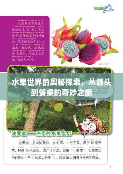 水果世界的奧秘探索，從源頭到餐桌的奇妙之旅
