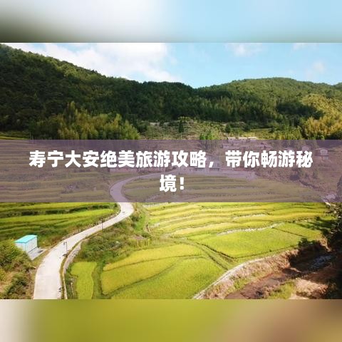 壽寧大安絕美旅游攻略，帶你暢游秘境！