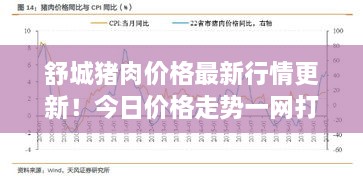 舒城豬肉價格最新行情更新！今日價格走勢一網(wǎng)打盡