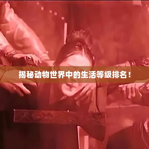 揭秘動物世界中的生活等級排名！