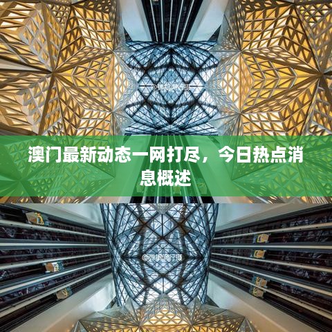 澳門最新動(dòng)態(tài)一網(wǎng)打盡，今日熱點(diǎn)消息概述