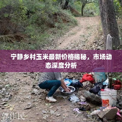 寧?kù)o鄉(xiāng)村玉米最新價(jià)格揭秘，市場(chǎng)動(dòng)態(tài)深度分析