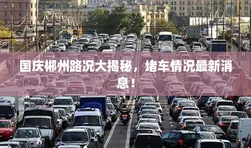 國(guó)慶郴州路況大揭秘，堵車情況最新消息！