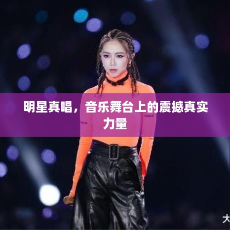 明星真唱，音樂舞臺(tái)上的震撼真實(shí)力量