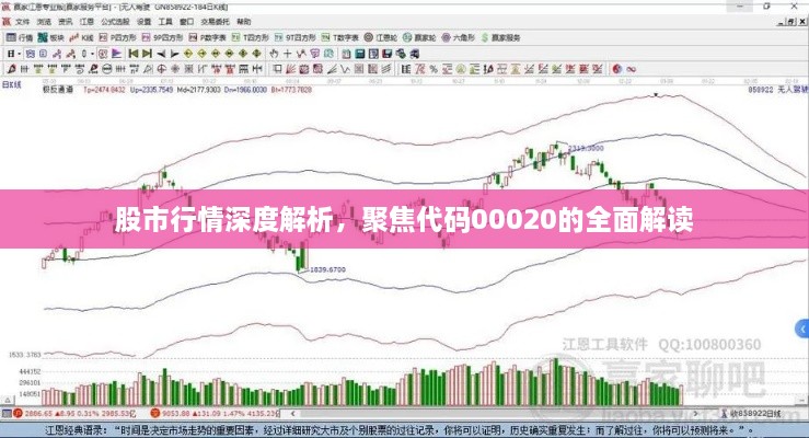 股市行情深度解析，聚焦代碼00020的全面解讀