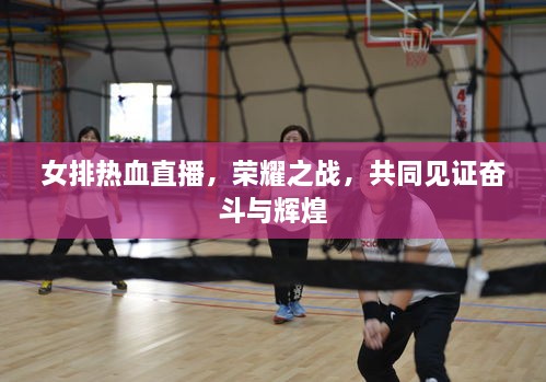 女排熱血直播，榮耀之戰(zhàn)，共同見證奮斗與輝煌