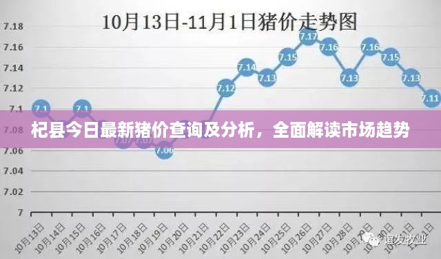 杞縣今日最新豬價(jià)查詢及分析，全面解讀市場(chǎng)趨勢(shì)