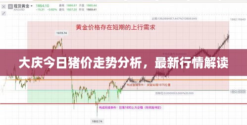 大慶今日豬價(jià)走勢(shì)分析，最新行情解讀