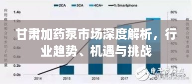 甘肅加藥泵市場(chǎng)深度解析，行業(yè)趨勢(shì)、機(jī)遇與挑戰(zhàn)