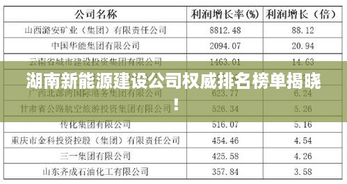 湖南新能源建設(shè)公司權(quán)威排名榜單揭曉！
