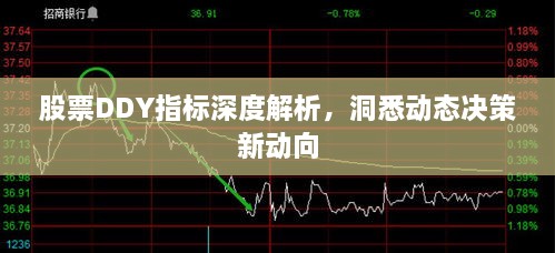 股票DDY指標(biāo)深度解析，洞悉動態(tài)決策新動向