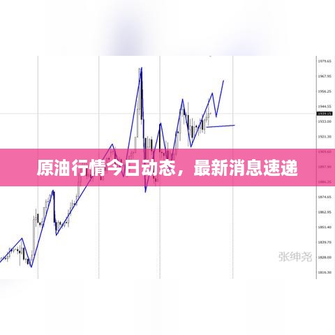 原油行情今日動態(tài)，最新消息速遞