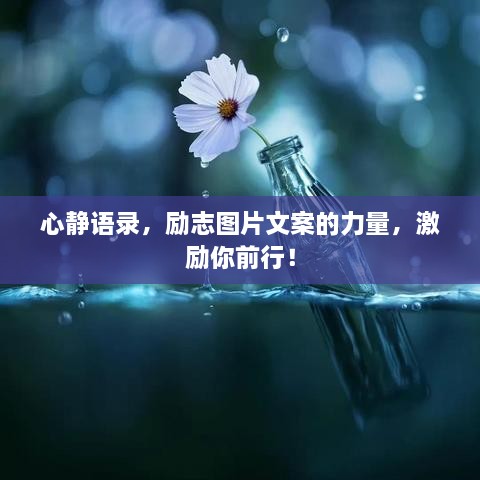 心靜語錄，勵志圖片文案的力量，激勵你前行！