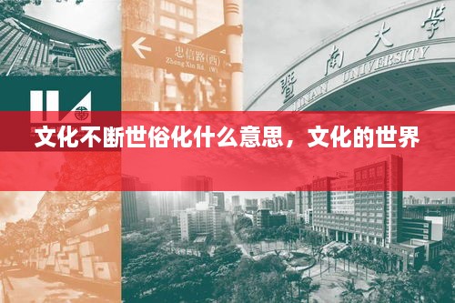 文化不斷世俗化什么意思，文化的世界 